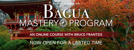 Bruce Kumar Frantzis - Bagua Mastery 2.0