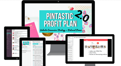 Summer Tannhauser - Pintastic Profit Plan 2.0