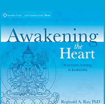 Reginald A. Ray - AWAKENING THE HEART