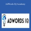 Caitlin Schlichting - AdWords IQ Academy