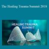 The Healing Trauma Summit 2018