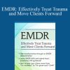 Elaine Strid - EMDR Effectively Treat Trauma and Move Clients Forward