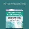 Pat Ogden - Sensorimotor Psychotherapy Body Oriented Therapy Techniques for Trauma and Attachment