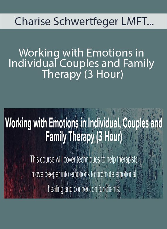 Charise Schwertfeger LMFT & Minon Maier LMFT - Working with Emotions in Individual Couples and Family Therapy (3 Hour)