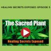 The Sacred Plant: Healing Secrets Exposed. Episode 5