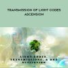 VMonary Musk – Transmission of Light Codes – Ascension