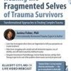 [Download Now] 2-Day Certificate Workshop Healing the Fragmented Selves of Trauma Survivors: Transformational Approaches to Treating Complex Trauma – Janina Fisher