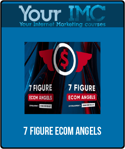 7 Figure Ecom Angels