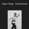 Adam Hsu - Bagua Zhang - Internal hands