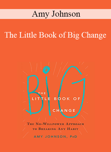 Amy Johnson - The Little Book of Big Change