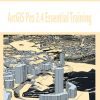 ArcGIS Pro 2.4 Essential Training