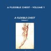 [Download Now] Arlyn Zones - A Flexible Chest - Volume 1