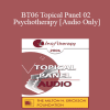 [Audio Download] BT06 Topical Panel 02 - Psychotherapy: Art or Science? - Stephen Lankton