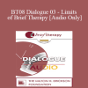 [Audio Download] BT08 Dialogue 03 - Limits of Brief Therapy - Jeffrey Kottler