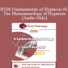 [Audio Download] BT08 Fundamentals of Hypnosis 01 - The Phenomenology of Hypnosis - Jeffrey Zeig