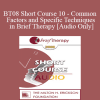 [Audio Download] BT08 Short Course 10 - Common Factors and Specific Techniques in Brief Therapy: A Solution-Focused Perspective - Ellen Quick