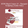 [Audio Download] BT08 Short Course 19 - Therapist Sculpting - Lilian Borges