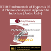 [Audio Download] BT10 Fundamentals of Hypnosis 02 - A Phenomenological Approach to Induction - Jeffrey Zeig