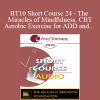 [Audio Download] BT10 Short Course 24 - The Miracles of Mindfulness