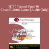 [Audio Download] BT10 Topical Panel 01 - Cross-Cultural Issues - Robert Dilts