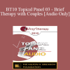 [Audio Download] BT10 Topical Panel 03 - Brief Therapy with Couples - Jon Carlson