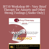 [Audio Download] BT10 Workshop 09 - Very Brief Therapy for Anxiety and Other Strong Feelings - Steve Andreas