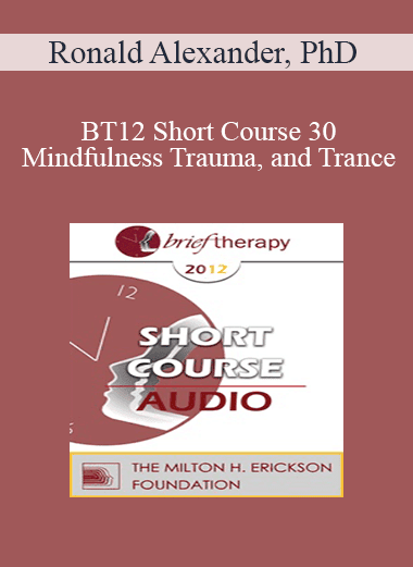 [Audio Download] BT12 Short Course 30 - Mindfulness