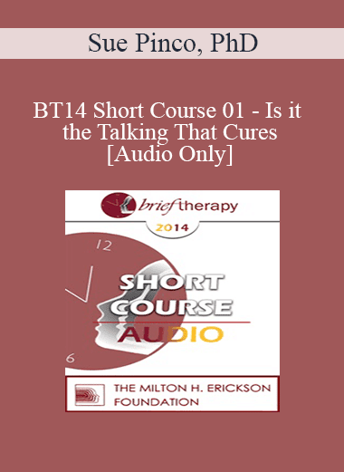 [Audio Download] BT14 Short Course 01 - Is it the Talking That Cures: Utilizing Silence to Make Therapy More Experiential and Improve Outcomes - Sue Pinco