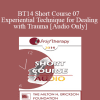 [Audio Download] BT14 Short Course 07 - Experiential Technique for Dealing with Trauma: Re-Visiting the Empty Chair - Linda Duncan