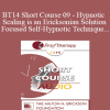 [Audio Download] BT14 Short Course 09 - Hypnotic Scaling is an Ericksonian Solution Focused Self-Hypnotic Technique That Allows Your Clients to Choose Freely Where to Move on Their Solution Scale - Paul Koeck