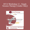 [Audio Download] BT14 Workshop 12 - Single Session Therapy - Michael Hoyt