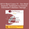 [Audio Download] BT16 Short Course 35 - Two Brief Hypnotic Techniques to Generate Emotional Coherence Through Ericksonian Utilization and Psychophysiological Entrainment - Jeffrey Feldman