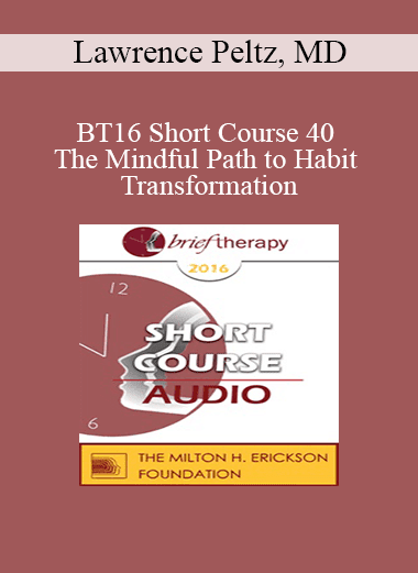 [Audio Download] BT16 Short Course 40 - The Mindful Path to Habit Transformation: A Four Quadrant Model - Lawrence Peltz