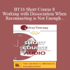 [Audio Download] BT16 Short Course 8 - Working with Dissociation When Reconnecting is Not Enough - Gabrielle Peacock