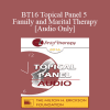 [Audio Download] BT16 Topical Panel 5 - Family and Marital Therapy - Lynn Lyons