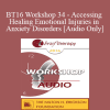 [Audio Download] BT16 Workshop 34 - Accessing and Healing Emotional Injuries in Anxiety Disorders - Assen Alladin