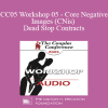 [Audio Download] CC05 Workshop 05 - Core Negative Images (CNis) and Dead Stop Contracts: Powerful Tools of Relational Recovery Therapy - Terry Real