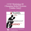 [Audio Download] CC05 Workshop 09 - Changing Belief Systems - Peggy Papp