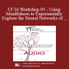 [Audio Download] CC16 Workshop 03 - Using Mindfulness to Experientially Explore the Neural Networks of Attachment - Rob Fisher