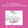 [Audio Download] CC19 Workshop 13 - Working with Escalated Couples: Coming Home from Hell with EFT - Sue Johnson