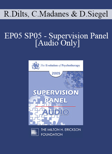 [Audio Download] EP05 SP05 - Supervision Panel - Robert Dilts