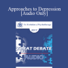 [Audio Download] EP17 Great Debates 01 - Approaches to Depression: Biological