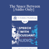 [Audio Download] EP17 Speech with Discussant 07 - The Space Between: A New Way to Think About Couples Therapy - Harville Hendrix