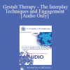 [Audio Download] EP85 Workshop 27 - Gestalt Therapy - The Interplay Techniques and Engagement - Erving Polster