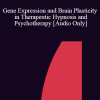 [Audio Download] IC04 Keynote 02 - Gene Expression and Brain Plasticity in Therapeutic Hypnosis and Psychotherapy - Ernest Rossi