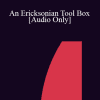 [Audio Download] IC04 Workshop 18 - An Ericksonian Tool Box - W. Michael Munion