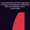 [Audio Download] IC04 Workshop 42 - Using Ericksonian and other Approaches to Enhance the Psychology of Permanent Habit and Addiction Control - Brian Grodner