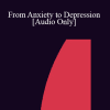 [Audio Download] IC07 Practice Development Workshop 08 - From Anxiety to Depression - Sofia Bauer