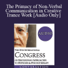 [Audio Download] IC19 Fundamentals of Hypnosis 06 - The Primacy of Non-Verbal Communication in Creative Trance Work - Stephen Gilligan