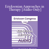 [Audio Download] IC80 General Session 15 - Ericksonian Approaches in Therapy - Charles R Stern